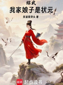 綜武：我家娘子是狀元